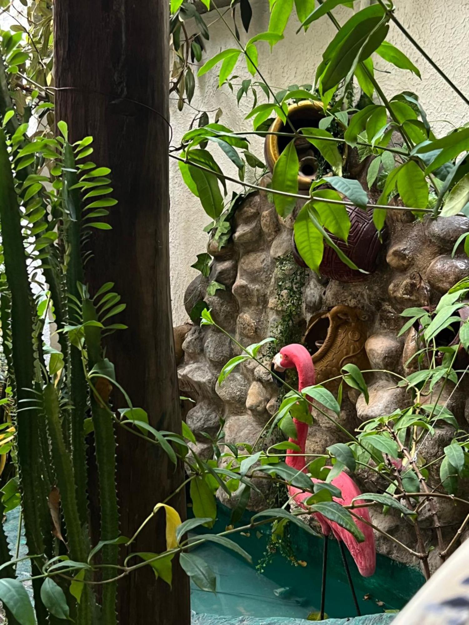 Hostal Kaia Santa Marta  Exterior photo